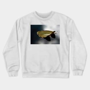 Lonely Lily Crewneck Sweatshirt